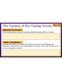 Mini Mysteries & Scaffolded Reading Activities (Cases 1 -3) Google Slides Mini Mysteries & Scaffolded Reading Activities (Cases 1 -3) Google Slides