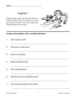 Comprehension Quickies 2: Google &amp; PDF Set