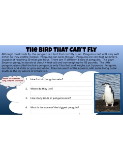 Comprehension Quickies 5: Google &amp; PDF Set