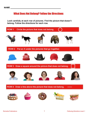 Life Skills Lessons: Following Directions Level 1 Life Skills Lessons: Following Directions Level 1