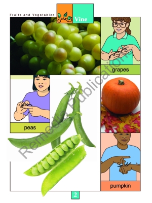 Fruits & Vegetables: Beginning Sign Language Series