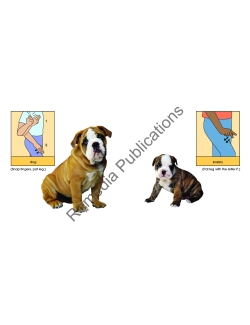 Signs for Pets and Animals: EARLY SIGN LANGUAGE BOOK SERIES Signs for Pets and Animals: EARLY SIGN LANGUAGE BOOK SERIES