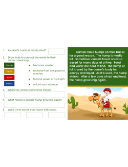 Google Classroom™ Activities: Beginning Reading Passages for Reading Level 3