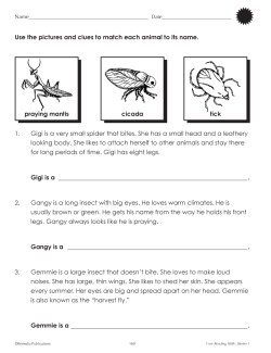 Core Reading Skills Program (Binder, Audio & Resource Downloads) Core Reading Skills Program (Binder, Audio & Resource Downloads)