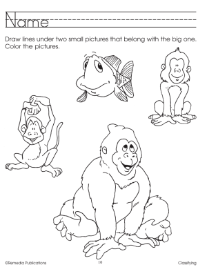 Classifying Classifying