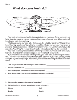 Wonder Stories (5-Book Set) Wonder Stories (5-Book Set)